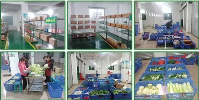 煜鮮農副產品配送 從田間到餐桌，守護您的每一餐新鮮