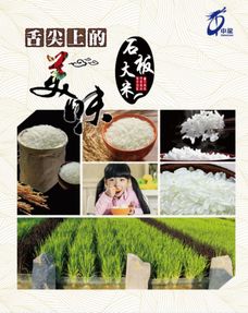 牡丹江中龍農副產品 年貨大集上的一抹亮色與黑土饋贈