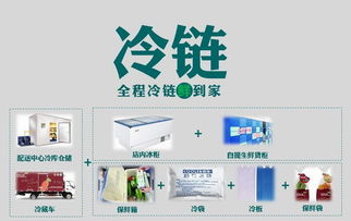 壹天一參史紅新 破解生鮮O2O困局，打造高端滋補(bǔ)品國(guó)內(nèi)貿(mào)易代理新標(biāo)桿